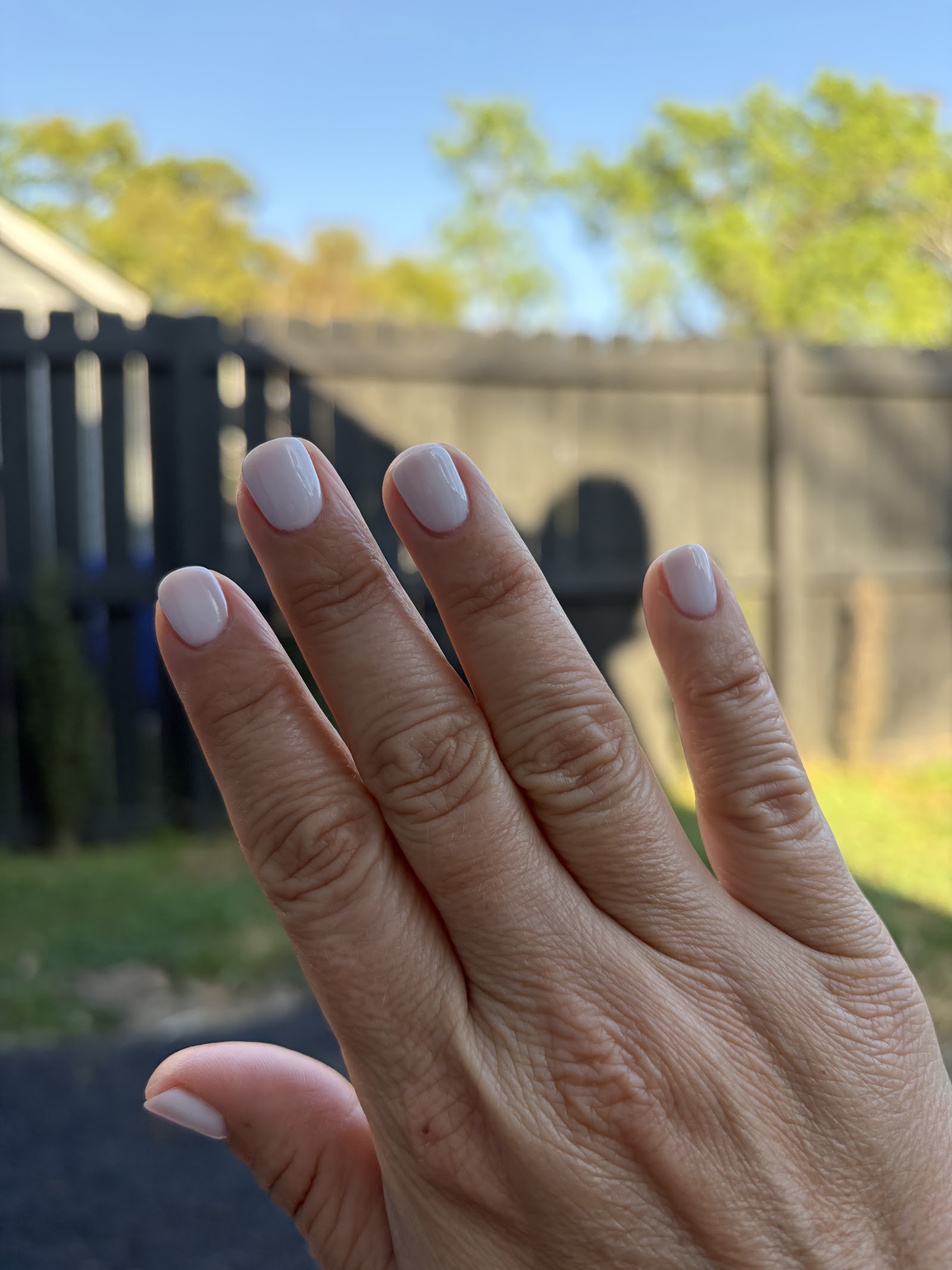 Harmony Nails & Spa nail photo 5